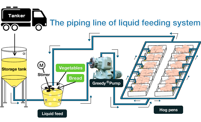 The piping line of liquid feeding system